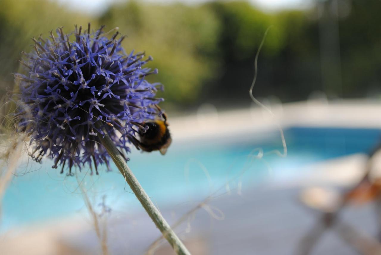 Eco-Gite - Domaine De La Gavolerie Bessé-sur-Braye Eksteriør billede
