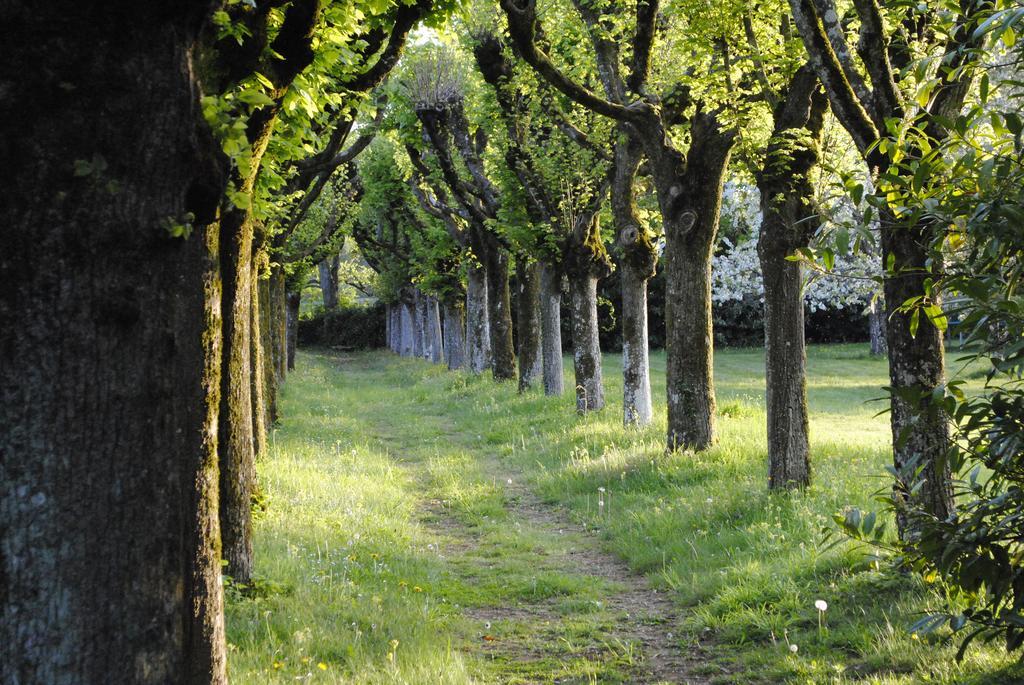 Eco-Gite - Domaine De La Gavolerie Bessé-sur-Braye Eksteriør billede