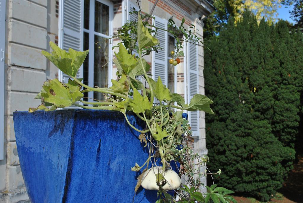 Eco-Gite - Domaine De La Gavolerie Bessé-sur-Braye Eksteriør billede